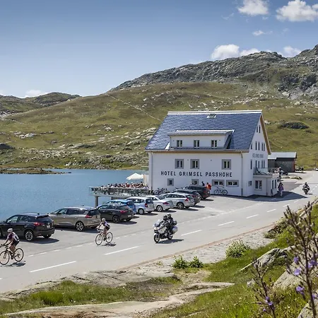 Grimsel Passhöhe 3* Oberwald