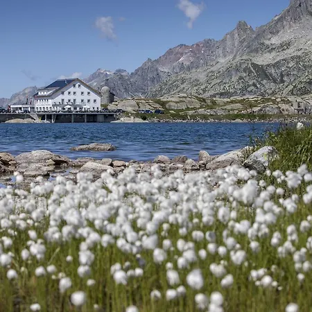 Grimsel Passhöhe 3*