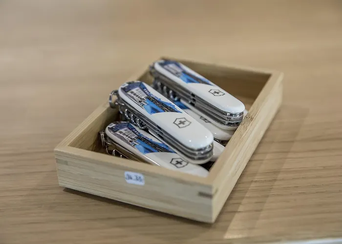 Grimsel Passhoehe 3* Oberwald