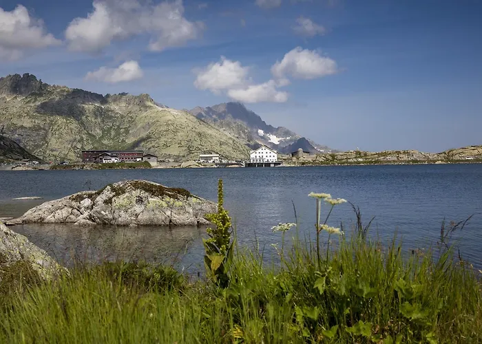 Grimsel Passhöhe Oberwald