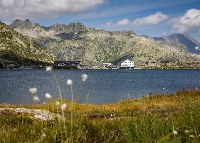 Grimsel Passhoehe 3* Oberwald