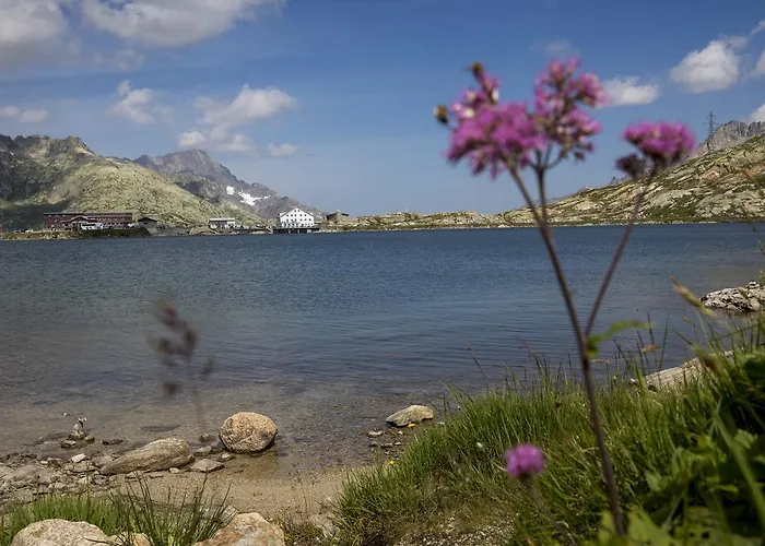 Hotel Grimsel Passhoehe