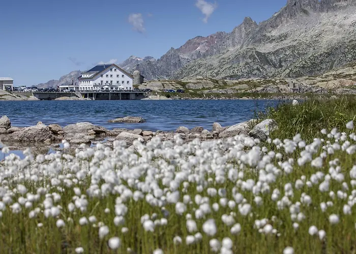 Grimsel Passhoehe 3*