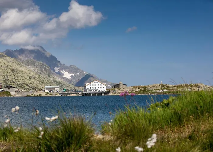 Hotel Grimsel Passhoehe 3*