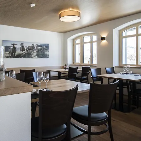 Grimsel Passhoehe 3* 오버발트