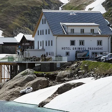 Grimsel Passhoehe 오버발트