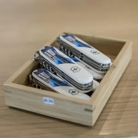 Grimsel Passhoehe 3* Oberwald