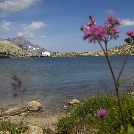 Hotel Grimsel Passhoehe