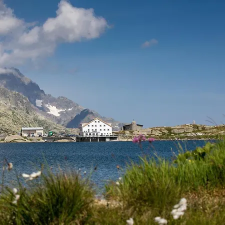 호텔 Grimsel Passhoehe 3*