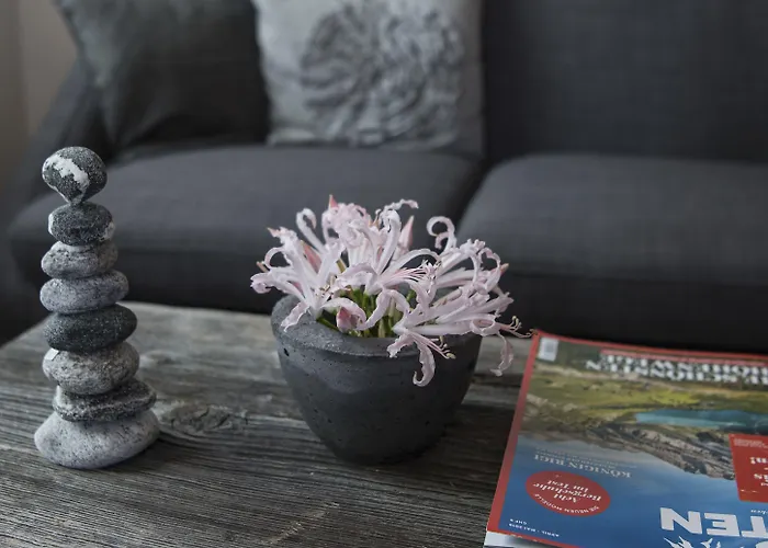 Grimsel Passhoehe Oberwald