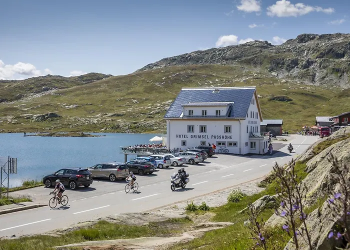 Grimsel Passhoehe 3* Oberwald